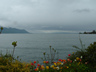 Photo ID: 000350, Lake Geneva from Montreux (64Kb)