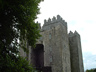 Photo ID: 000400, Bunratty Castle (78Kb)