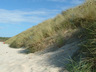 Photo ID: 000436, Sand Dunes on the edge of the beach (61Kb)