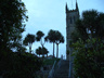 Photo ID: 000604, Tropical Palms and English Churches (78Kb)