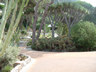 Photo ID: 000772, Inside the Alameda gardens  (59Kb)