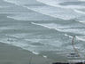 Photo ID: 002287, Surfers take the waves (52Kb)