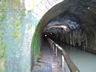 Photo ID: 003411, Falkirk tunnel (56Kb)