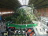 Photo ID: 007083, Atocha Palm garden (127Kb)