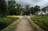 Photo ID: 012580, In the botanic gardens (172Kb)