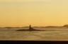 Photo ID: 015609, Lighthouse at sunset (54Kb)