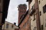 Photo ID: 017880, The Guinigi Tower (108Kb)
