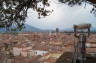 Photo ID: 017884, Top of the Torre Guinigi (168Kb)