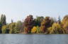 Photo ID: 021217, Autumnal trees (12Kb)