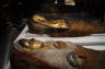Photo ID: 025856, Egyptian mummies (107Kb)
