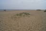 Photo ID: 033757, Baby dune (125Kb)