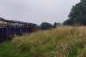 Photo ID: 035357, Whipsnade Railway (144Kb)