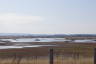 Photo ID: 035711, View across the marsh (103Kb)