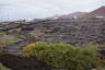 Photo ID: 037322, Looking across the lava fields (194Kb)