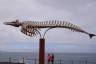 Photo ID: 038567, Whale skeleton (85Kb)