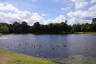 Photo ID: 041256, Ducks on the lake (164Kb)