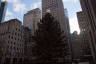 Photo ID: 044463, Rockefeller Centre Christmas Tree (169Kb)