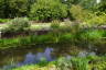 Photo ID: 048814, Botanical Gardens pond (247Kb)