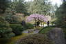 Photo ID: 051541, Flat Garden in bloom (224Kb)