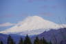 Photo ID: 051732, Top of Mount Adams (105Kb)