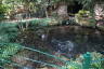 Photo ID: 051846, Fish pond (232Kb)